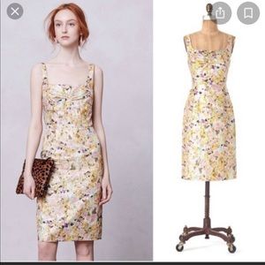 Anthropologie leifsdottir Aurelian dress 4 nwot